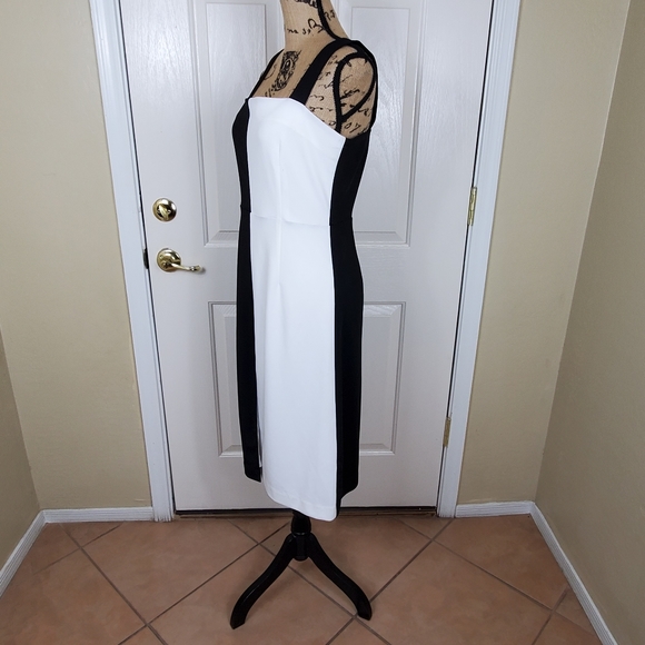 Alexia AdmorMarissa Two Tone Midi Dress - Picture 5 of 11